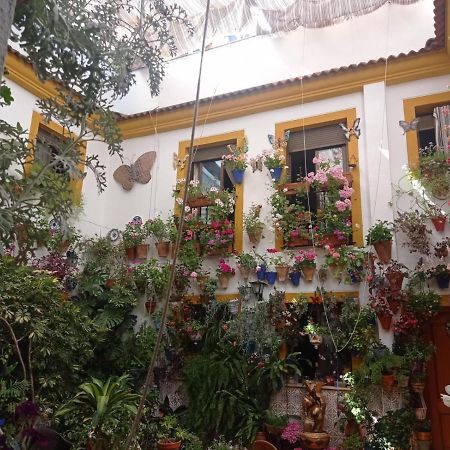 Patio Pozanco Βίλα Κόρδοβα Εξωτερικό φωτογραφία