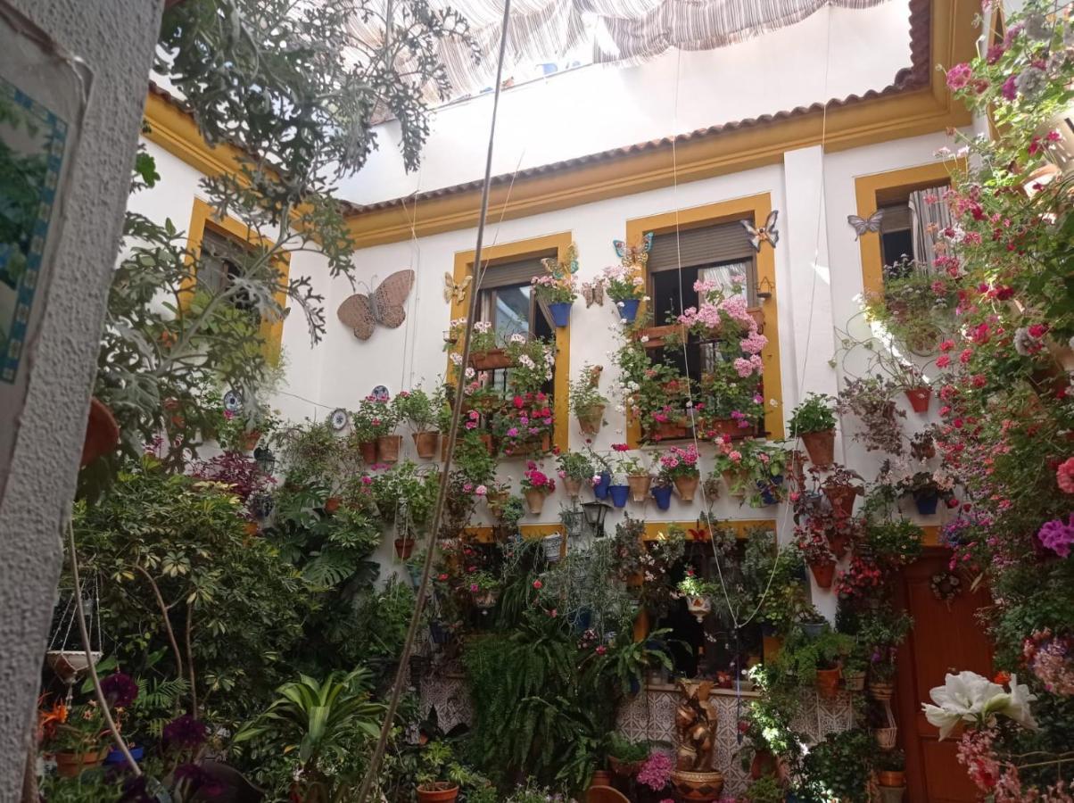 Patio Pozanco Βίλα Κόρδοβα Εξωτερικό φωτογραφία